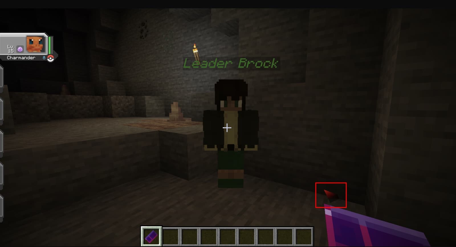 The Trainer Card's arrow pointing toward Leader Brock